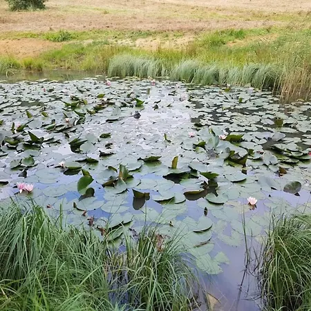 8 Person In Sjolund-by Traum Dom wakacyjny Hejls