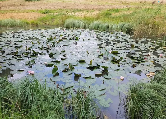 8 Person In Sjolund-by Traum Nyaraló Hejls